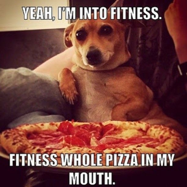 meme -fitness pizza dog - Yeah, I'M Into Fitness. Fitness Whole Pizza. In My Mouth.