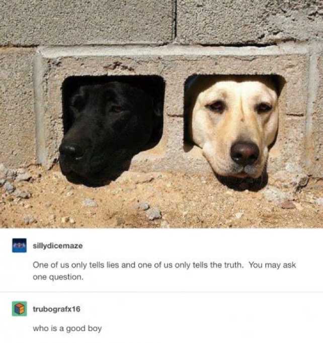 funny wholesome memes - sillydicemaze One of us only tells lies and one of us only tells the truth. You may ask one question. trubografx 16 who is a good boy