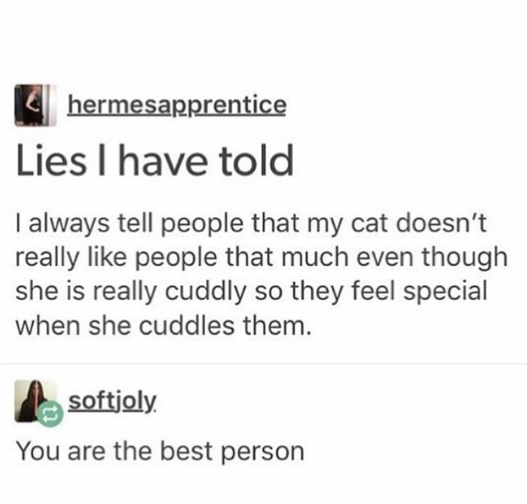 posts to make you happy - hermesapprentice Lies I have told | always tell people that my cat doesn't really people that much even though she is really cuddly so they feel special when she cuddles them. softjoly. You are the best person