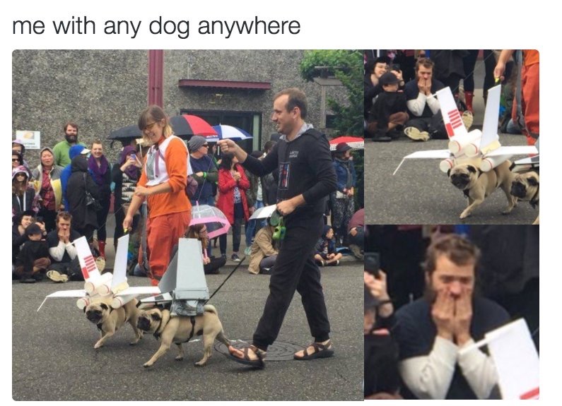 fuck being rich when i m 40 - me with any dog anywhere