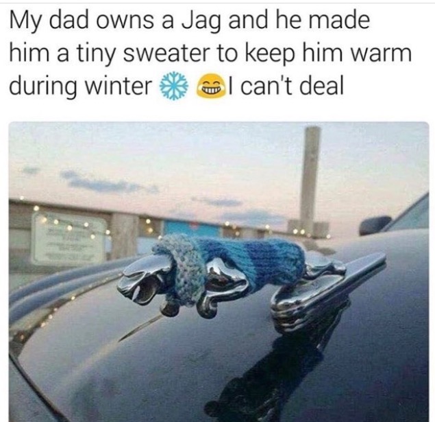 babushka meme - My dad owns a Jag and he made him a tiny sweater to keep him warm during winter l can't deal