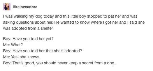r tumblr best - loveadore I was walking my dog today and this little boy stopped to pat her and was asking questions about her. He wanted to know where I got her and I said she was adopted from a shelter. Boy Have you told her yet? Me What? Boy Have you t