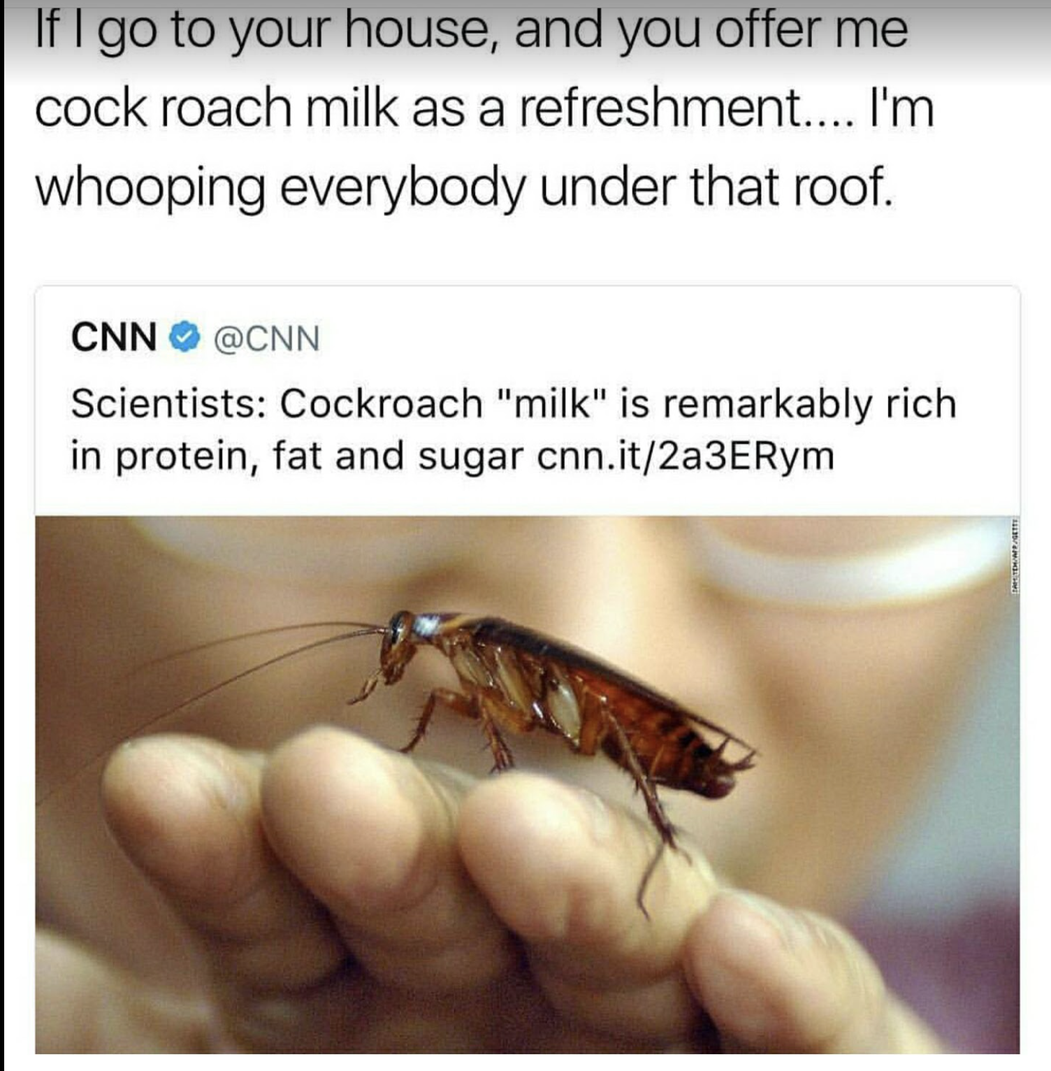 cockroach - If I go to your house, and you offer me cock roach milk as a refreshment.... I'm whooping everybody under that roof. Cnn Scientists Cockroach "milk" is remarkably rich in protein, fat and sugar cnn.it2a3ERym