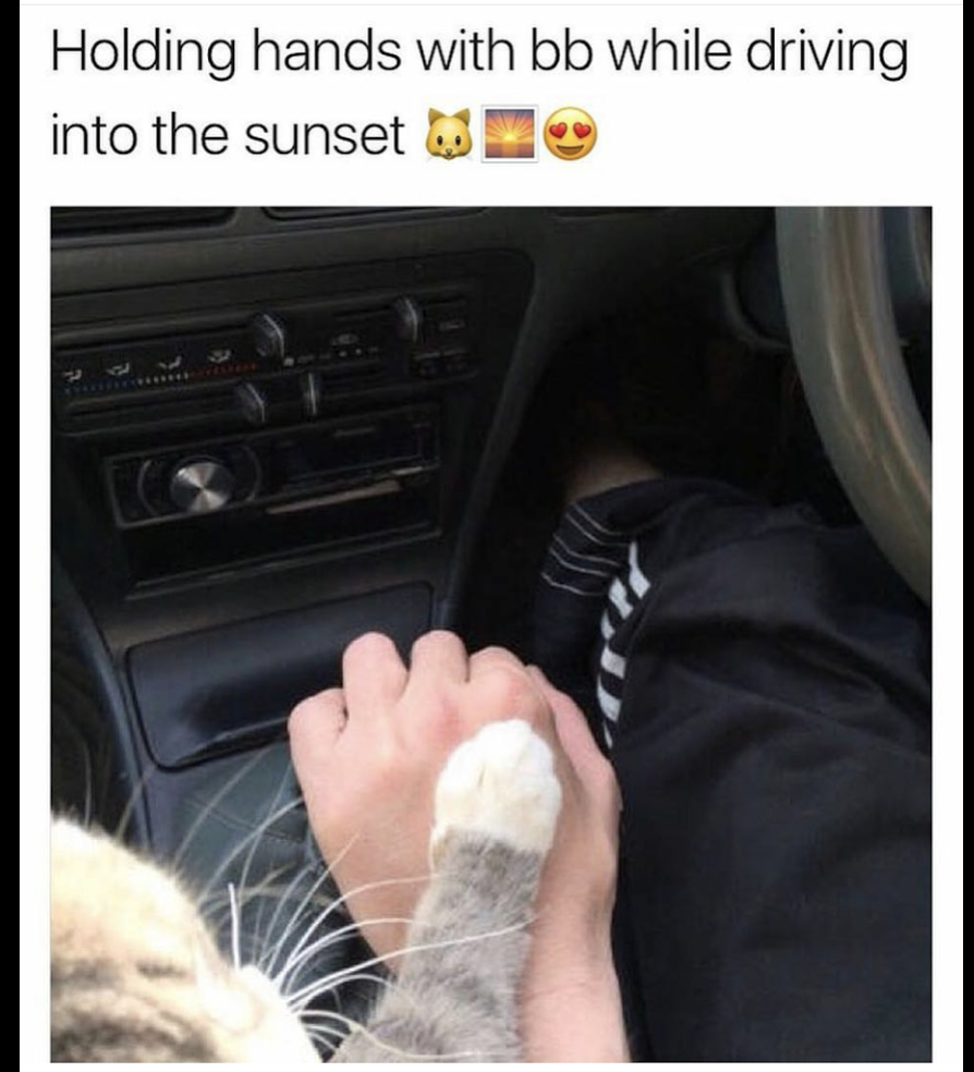 holding hands meme - Holding hands with bb while driving into the sunset