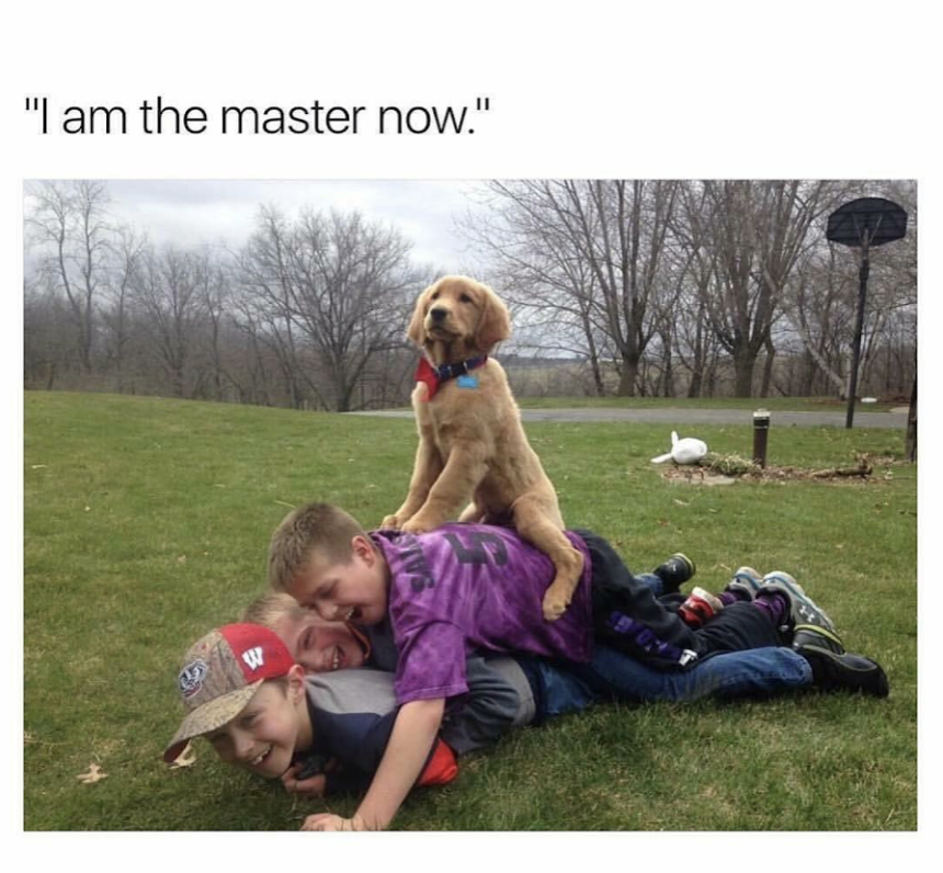 Meme - "I am the master now."