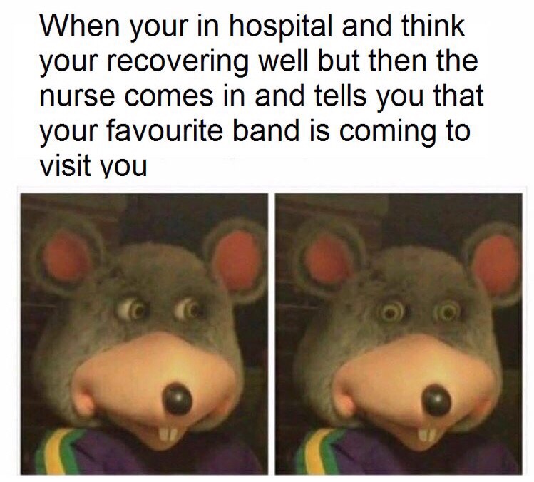 make a wish meme - When your in hospital and think your recovering well but then the nurse comes in and tells you that your favourite band is coming to visit you