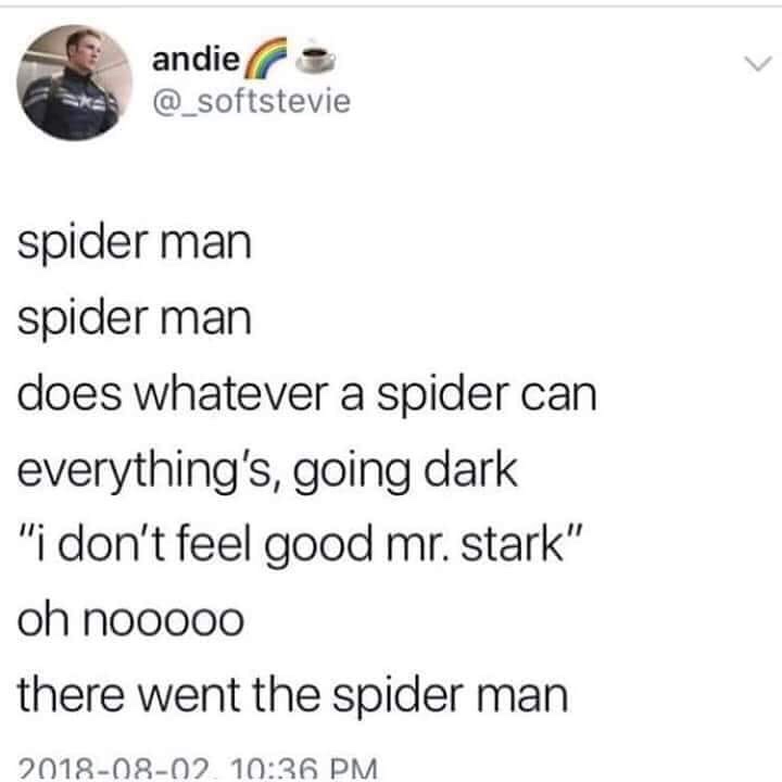 spiderman spiderman does whatever a spider can infinity war - andies spider man spider man does whatever a spider can everything's going dark "i don't feel good mr. stark" oh nooooo there went the spider man