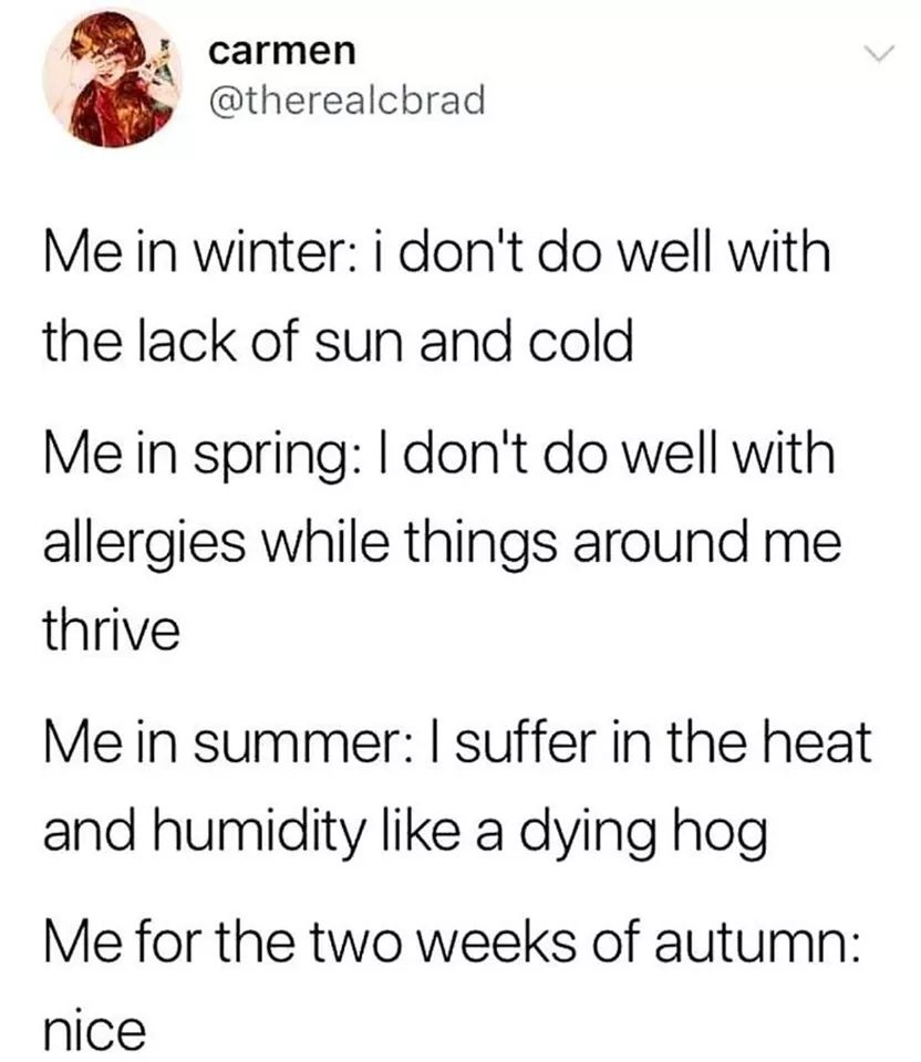 Winter - carmen Me in winter i don't do well with the lack of sun and cold Me in spring I don't do well with allergies while things around me thrive Me in summer I suffer in the heat and humidity a dying hog Me for the two weeks of autumn nice