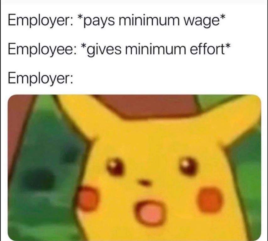 minimum wage minimum effort meme - Employer pays minimum wage Employee gives minimum effort Employer