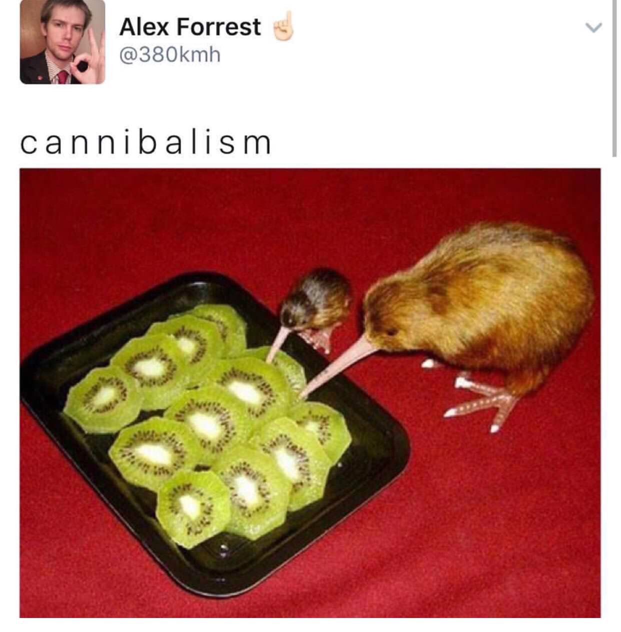 humour kiwi - Alex Forrest cannibalism