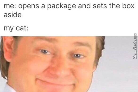 it's free real estate - me opens a package and sets the box aside my cat MemeCenter.com