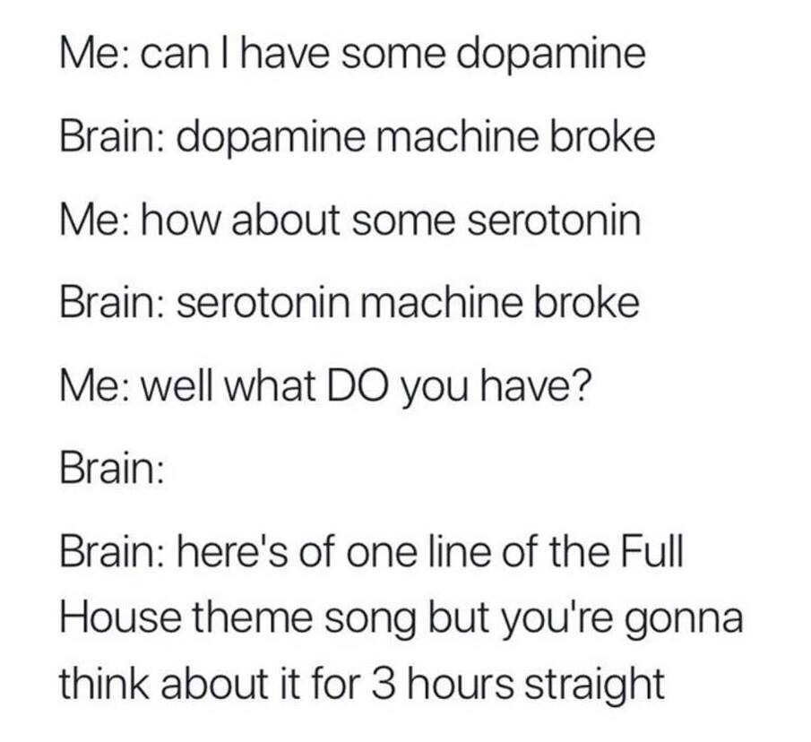 my life is like rihanna new song - Me can I have some dopamine Brain dopamine machine broke Me how about some serotonin Brain serotonin machine broke Me well what Do you have? Brain Brain here's of one line of the Full House theme song but you're gonna th