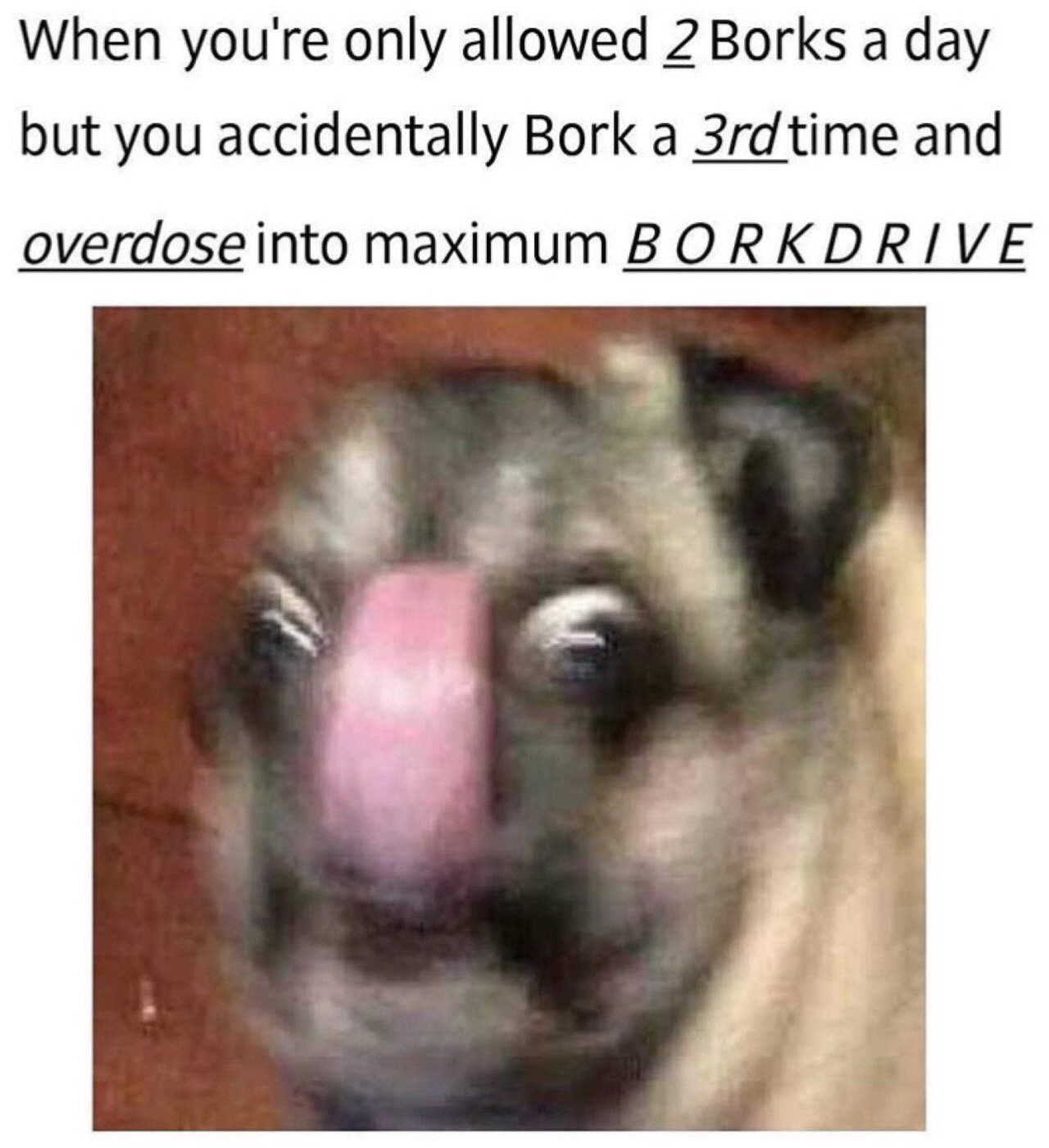 memes - maximum borkdrive - When you're only allowed 2 Borks a day but you accidentally Bork a 3rd time and overdose into maximum Borkdrive