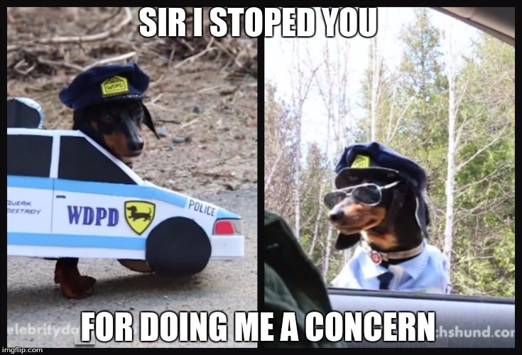 memes - Sir I Stoped You Rucak Postady Police Wdpd elebrity For Doing Me A Concern.hshund.com imgflip.com