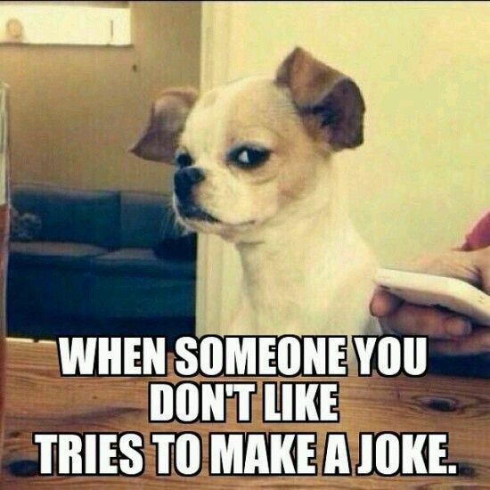 memes - someone you don t like tries - When Someone You Dont Tries To Make A Joke.