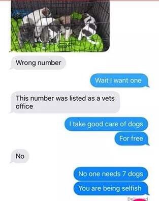 memes - wrong number texts - Wrong number Wait I want one This number was listed as a vets office I take good care of dogs For free No No one needs 7 dogs You are being selfish