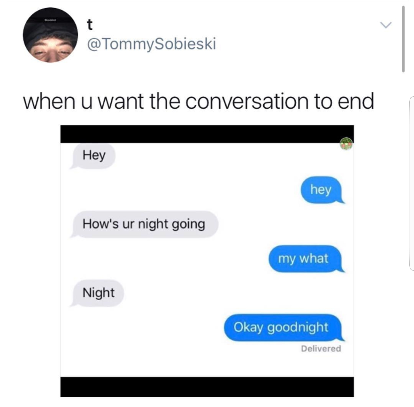 memes - software - when u want the conversation to end Hey hey How's ur night going my what Night Okay goodnight Delivered