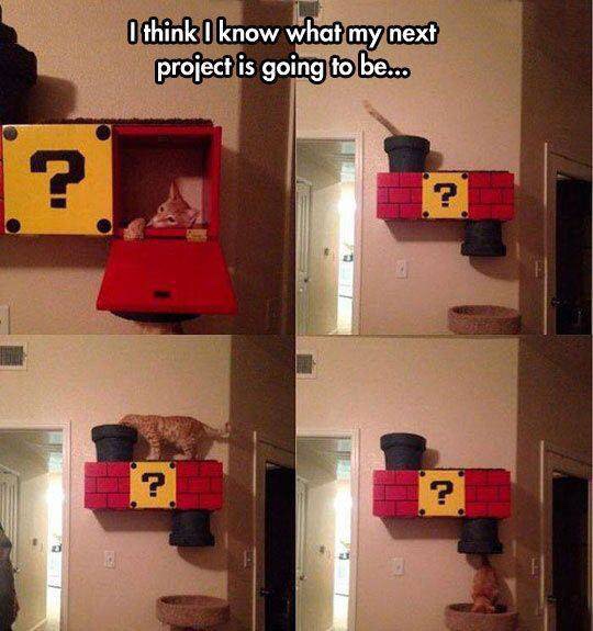 memes - super mario cat wall - I think I know what my next project is going to be... ?