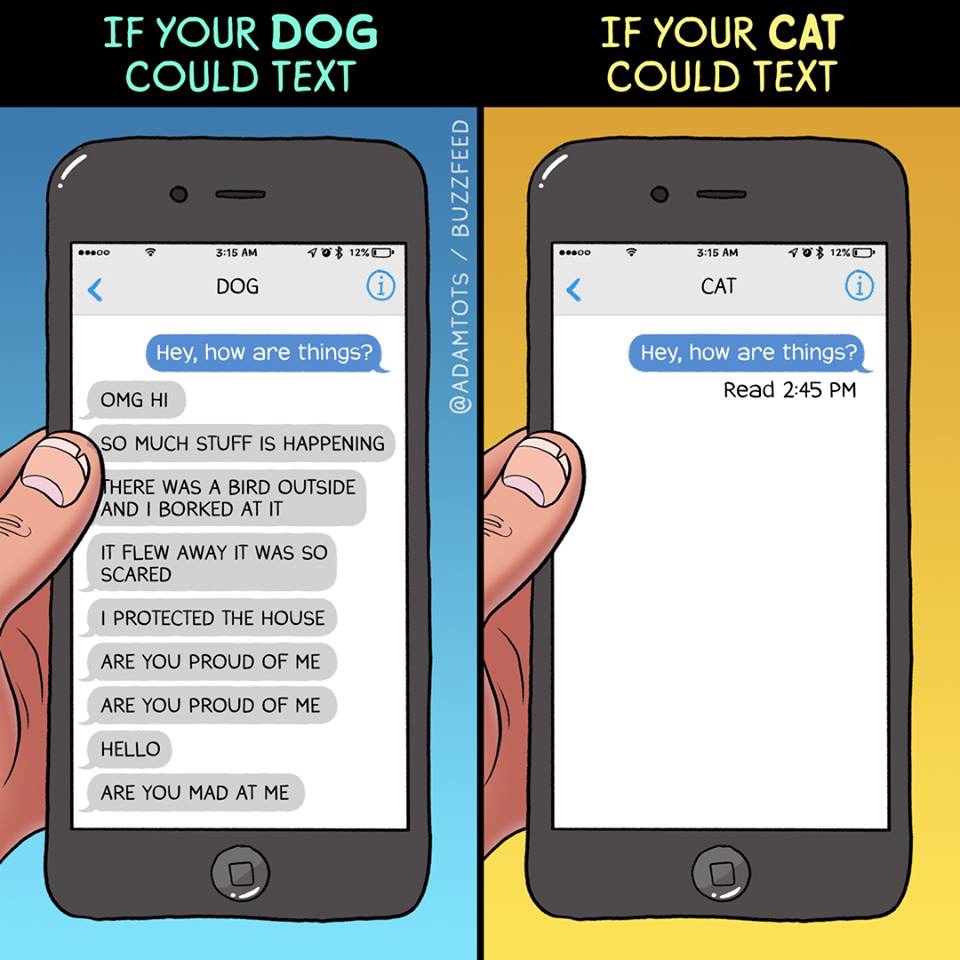 memes - cats vs dogs texting - If Your Dog Could Text If Your Cat Could Text ...00 10% 12%O ...00 10% 12%O Buzzfeed Dog Cat Cat Hey, how are things? Hey, how are things? Read Omg Hi So Much Stuff Is Happening There Was A Bird Outside And I Borked At It It
