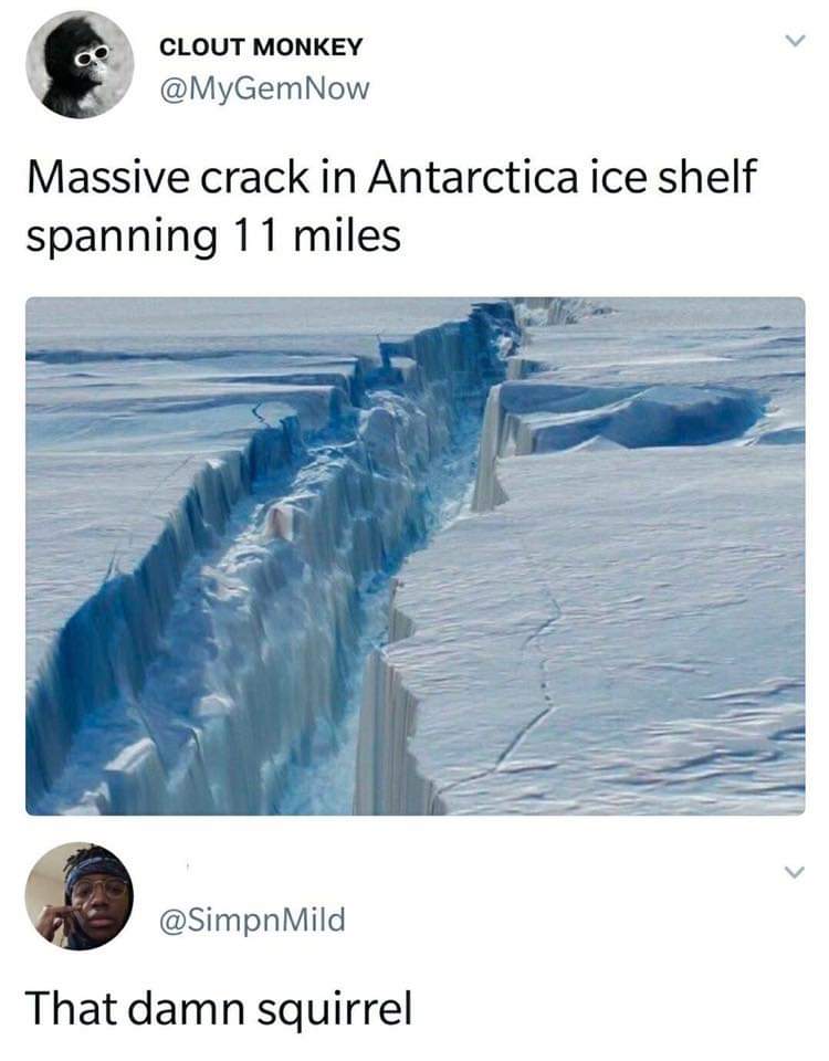 memes  - damn squirrel meme - Clout Monkey Now Massive crack in Antarctica ice shelf spanning 11 miles Mild That damn squirrel