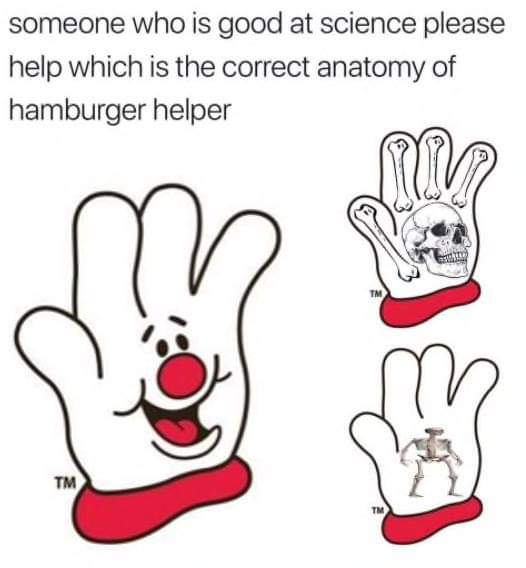 memes  - hamburger helper anatomy - someone who is good at science please help which is the correct anatomy of hamburger helper Tm