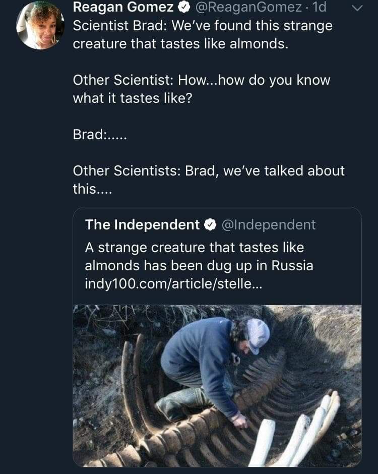 memes  - extinct sea cow - y Reagan Gomez . 1d Scientist Brad We've found this strange creature that tastes almonds. Other Scientist How...how do you know what it tastes ? Brad..... Other Scientists Brad, we've talked about this.... The Independent A stra
