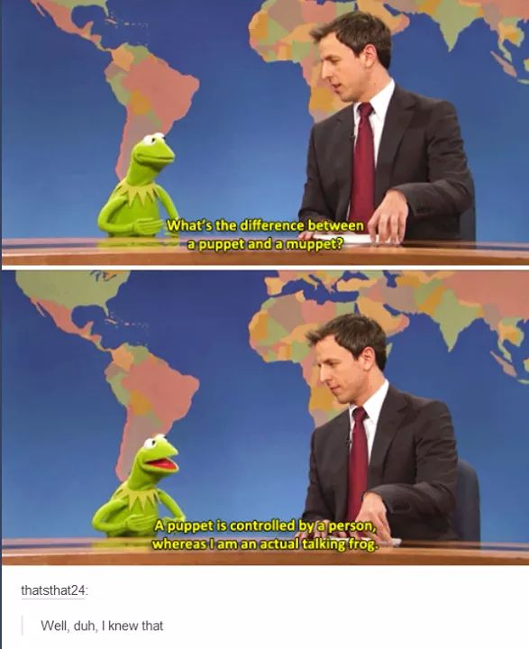 memes  - muppet memes - What's the difference between a puppet and a muppet? A puppet is controlled by a person, whereas I am an actual talking frog. thatsthat24 Well, duh, I knew that