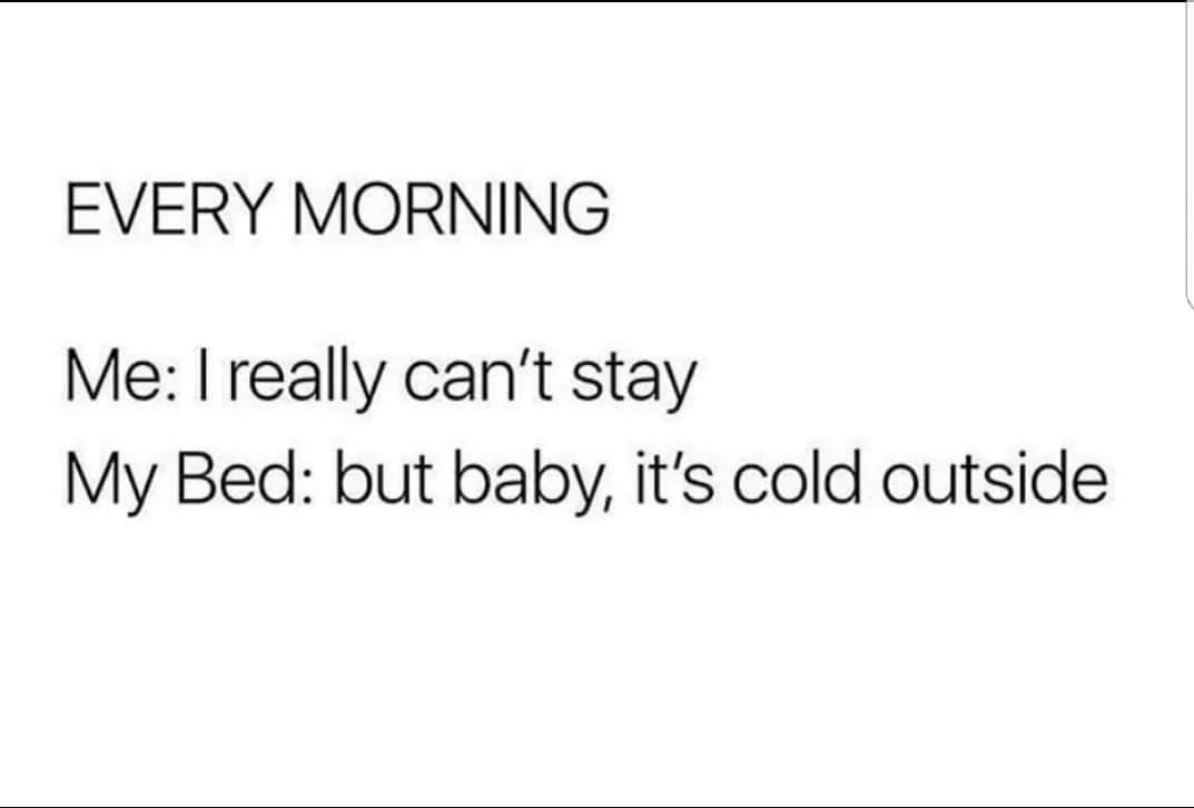 memes  - document - Every Morning Me I really can't stay My Bed but baby, it's cold outside