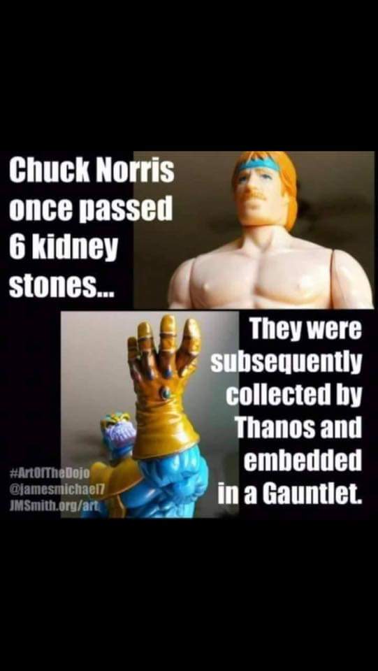 memes  - chuck norris once passed 6 kidney stones - Chuck Norris once passed 6 kidney stones... They were subsequently collected by Thanos and embedded in a Gauntlet. JMSmith.orgart