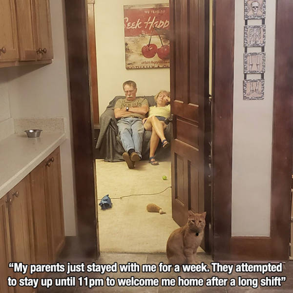 life is great room - sek Happ "My parents just stayed with me for a week. They attempted to stay up until 11pm to welcome me home after a long shift"