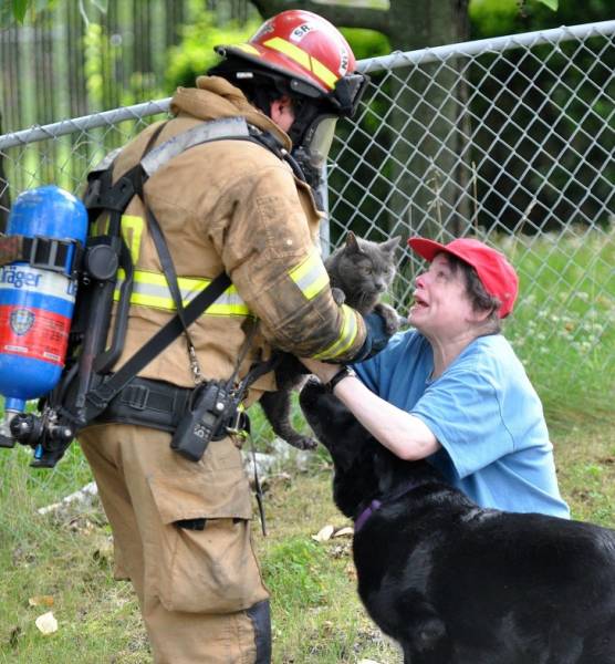 life is great firefighter saves cat