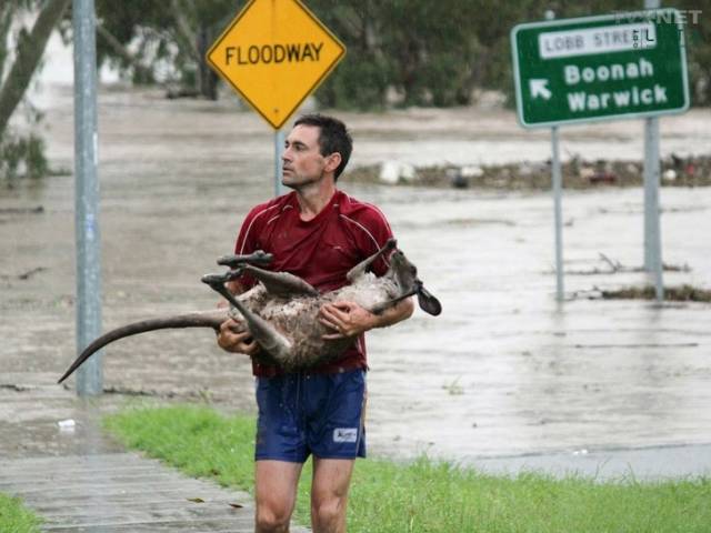 life is great people perpetuating national stereotypes during floods - Net Floodway Lobb Stresil Boonah Warwick