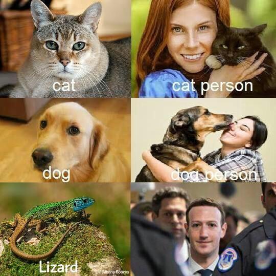 cat cat person dog dog person lizard - cat person dog A dodarson Lizard Alliano Soares