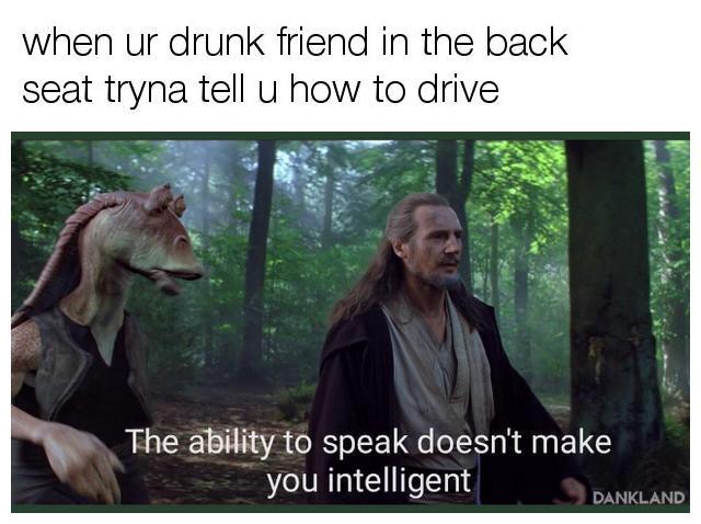 ability to speak doesn t make you intelligent - when ur drunk friend in the back seat tryna tell u how to drive The ability to speak doesn't make you intelligent Dankland