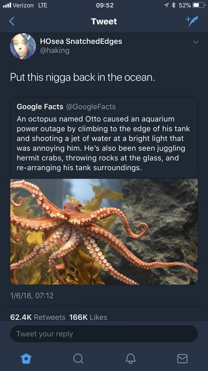 kraken vs octopus - oll Verizon Lte 1 52% 0 Tweet HOsea SnatchedEdges Put this nigga back in the ocean. Google Facts An octopus named Otto caused an aquarium power outage by climbing to the edge of his tank and shooting a jet of water at a bright light th