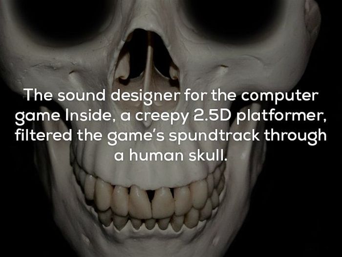 creepy facts - The sound designer for the computer game Inside, a creepy 2.5D platformer, filtered the game's spundtrack through a human skull.