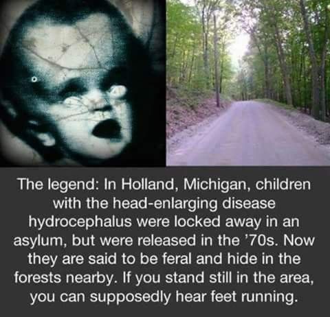 children's liver disease foundation - The legend In Holland, Michigan, children with the headenlarging disease hydrocephalus were locked away in an asylum, but were released in the '70s. Now they are said to be feral and hide in the forests nearby. If you