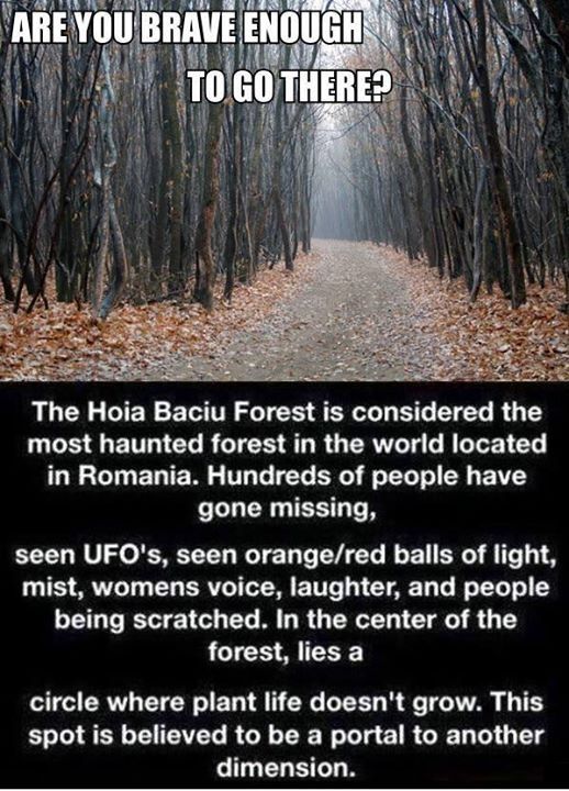 creepy facts - Are You Brave Enough To Go There? The Hoia Baciu Forest is considered the most haunted forest in the world located in Romania. Hundreds of people have gone missing, seen Ufo's, seen orangered balls of light, mist. womens voice, laughter, an