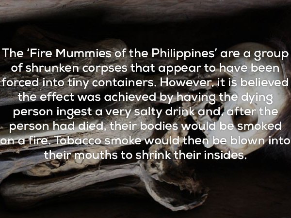 creepy facts - The 'Fire Mummies of the Philippines' are a group of shrunken corpses that appear to have been forced into tiny containers. However, it is believed the effect was achieved by having the dying person ingest a very salty drink and after the p