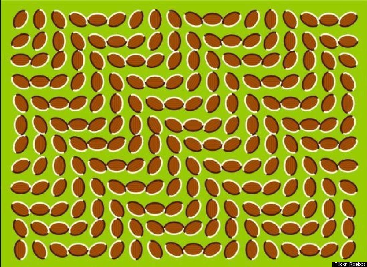 18 optical illusions