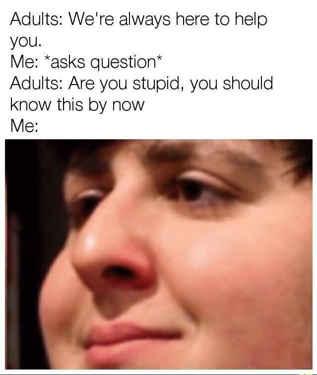 relatable memes - Adults We're always here to help you. Me asks question Adults Are you stupid, you should know this by now Me