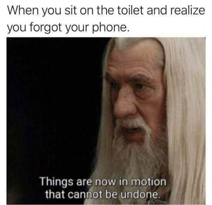 meme about going to the bathroom and realizing you forgot your phone