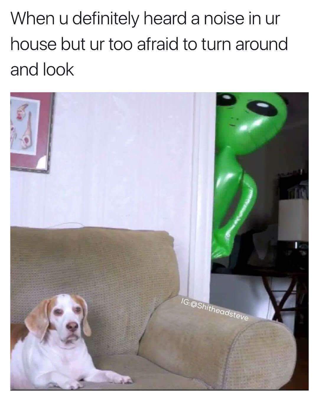 Funny dog meme about ignoring that scary noise in your house