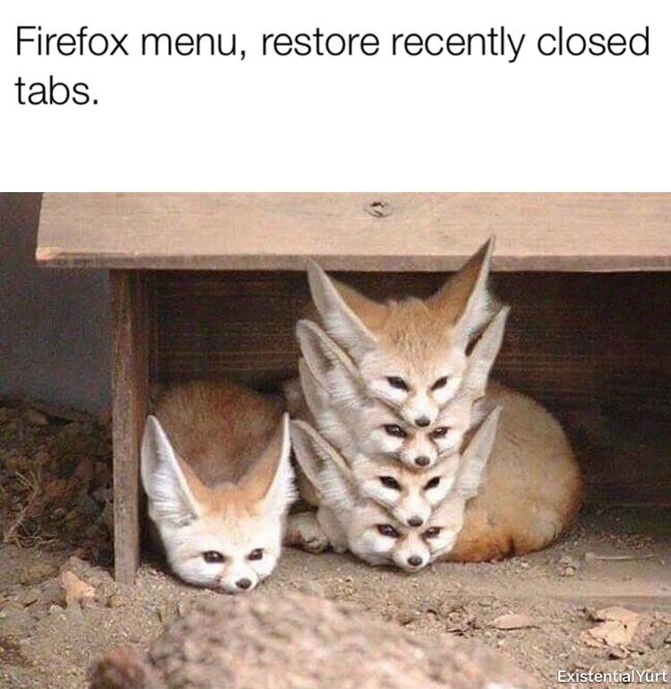 desert fox baby - Firefox menu, restore recently closed tabs. Existential Yurt