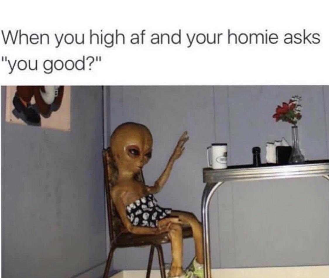 alien high meme - When you high af and your homie asks "you good?"