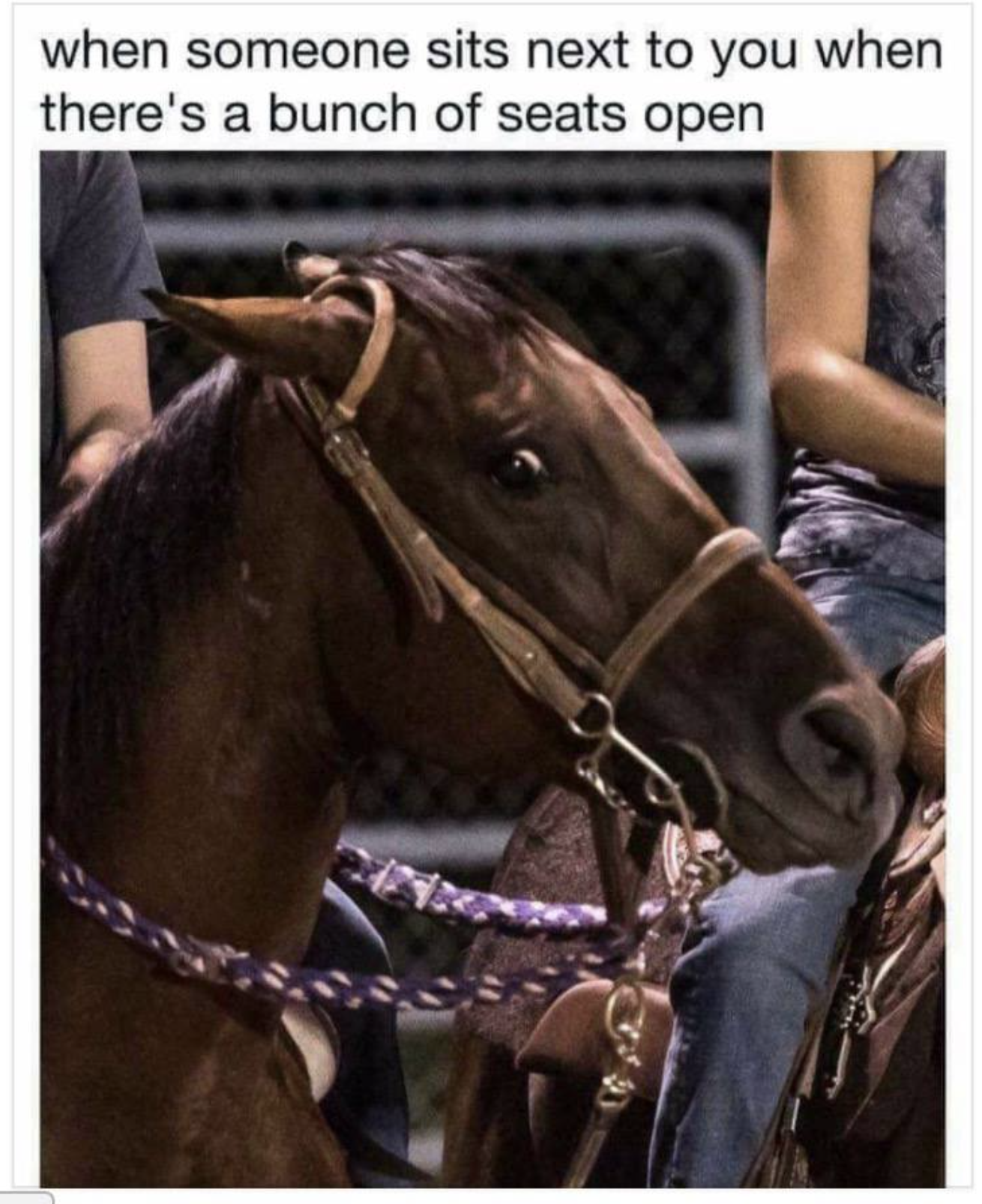 funniest horse horse memes - when someone sits next to you when there's a bunch of seats open