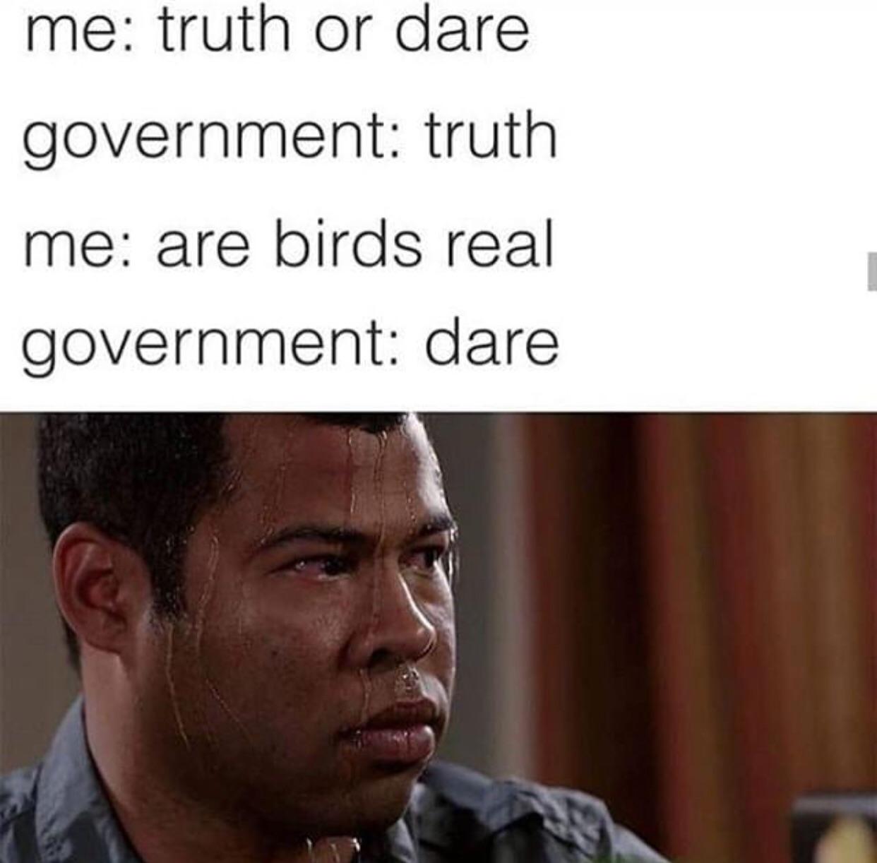 dank meme - truth or dare memes - me truth or dare government truth me are birds real government dare
