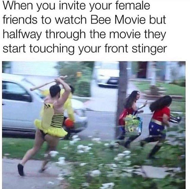 dank meme - front stinger meme - When you invite your female friends to watch Bee Movie but halfway through the movie they start touching your front stinger