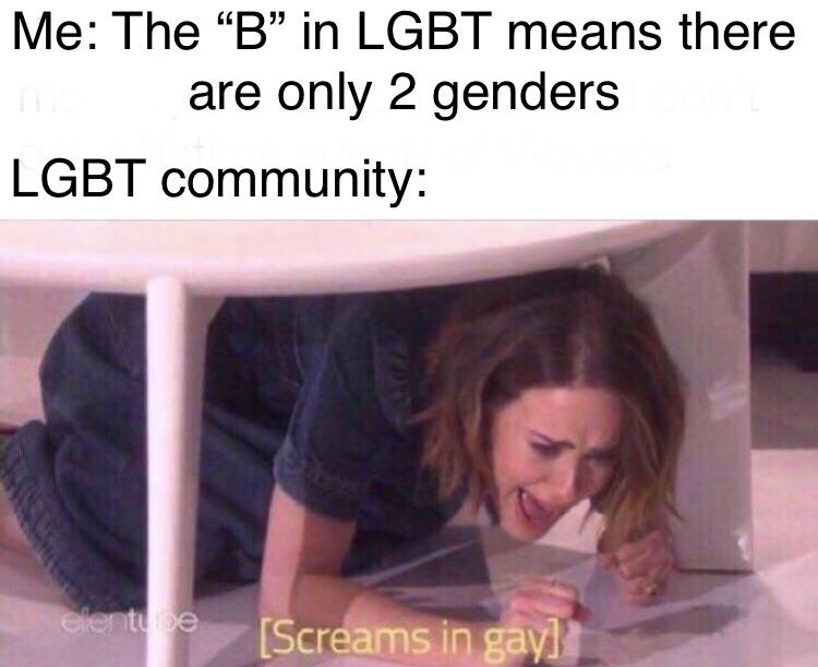 dank meme - screams in gay meme - Me The B in Lgbt means there are only 2 genders Lgbt community elentue Screams in gay