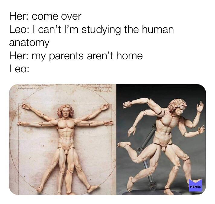 dank meme - vitruvian meme - Her come over Leo I can't l'm studying the human anatomy Her my parents aren't home Leo Memes